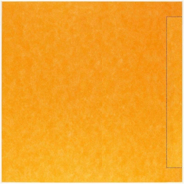 48"x48" Linear Pan