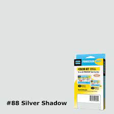 SILVER SHADOW Color Kit (1 packet)